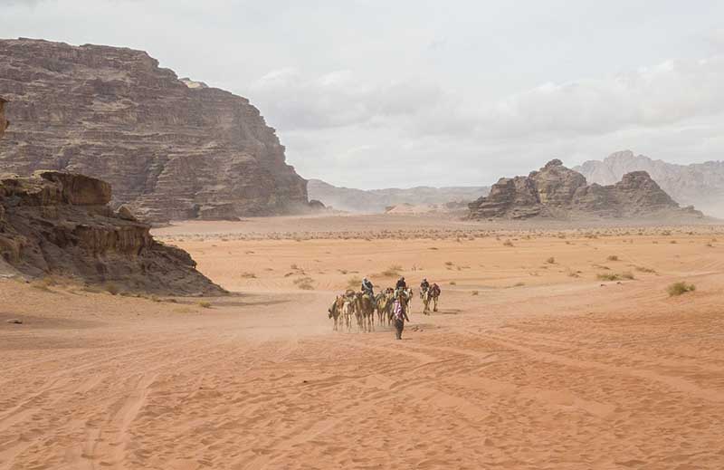 123 - Jordania - desierto de Wadi Rum - camellos